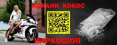 шишки Гай