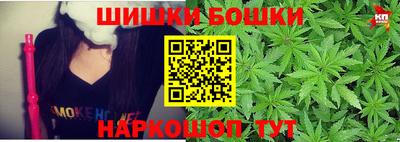 шишки Гай