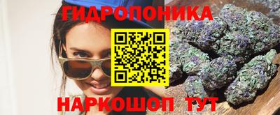 не бодяженный Гатчина