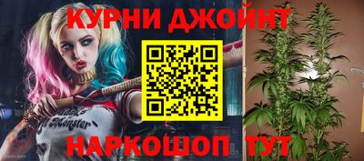 шишки Гай