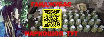 шишки Гай