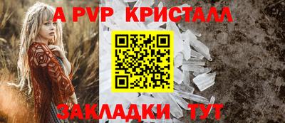 шишки Гай