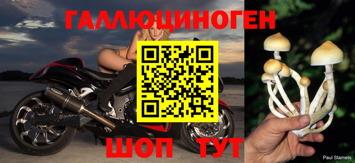 Галлюциногенные грибы Psilocybine cubensis  Вход с VPN  Аксай 